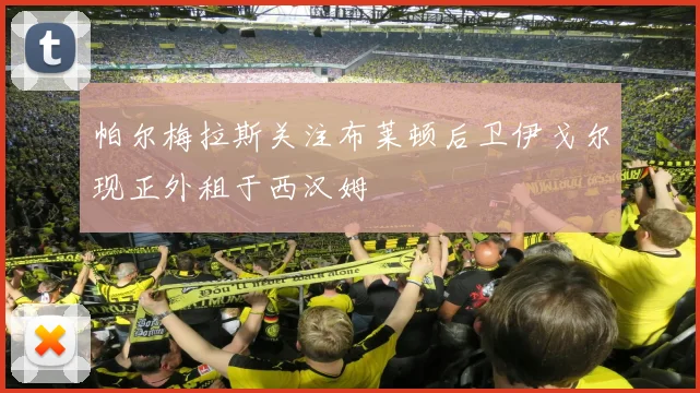 帕尔梅拉斯关注布莱顿后卫伊戈尔现正外租于西汉姆